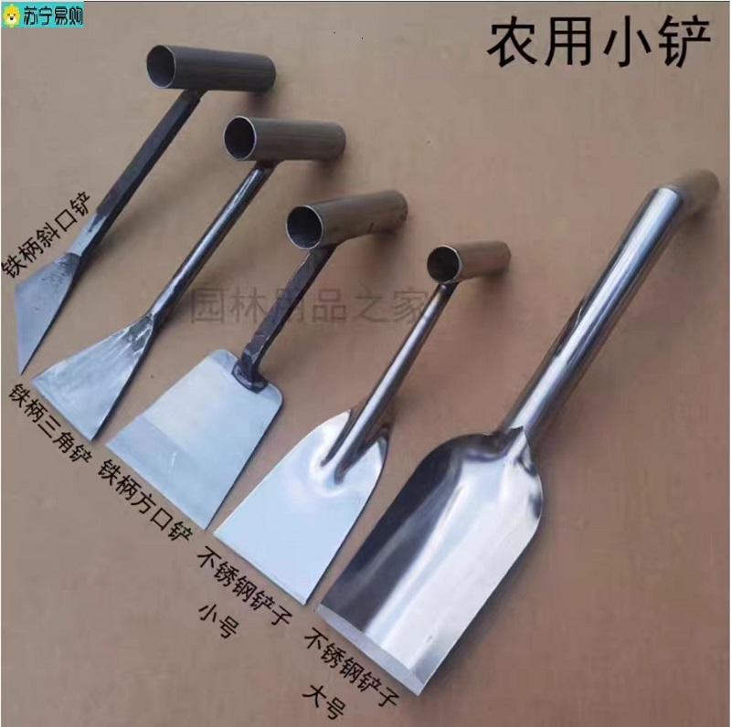 Image mmexport1685191110192